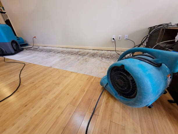 Professional Water Removal technician working in Alleman, IA